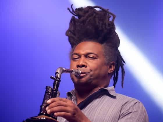 Paul Taylor - Musician